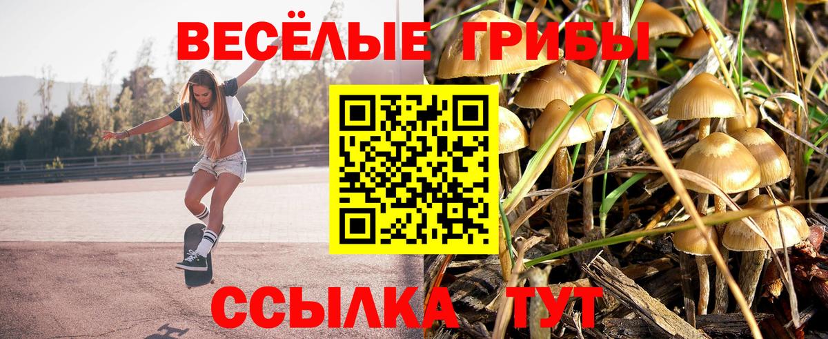 Карачаевск  Галлюциногенные грибы мицелий  Вход с VPN 