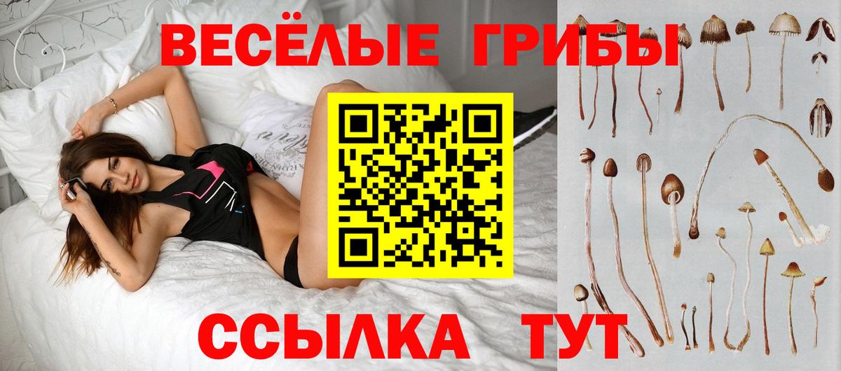Псилоцибиновые грибы GOLDEN TEACHER Карачаевск